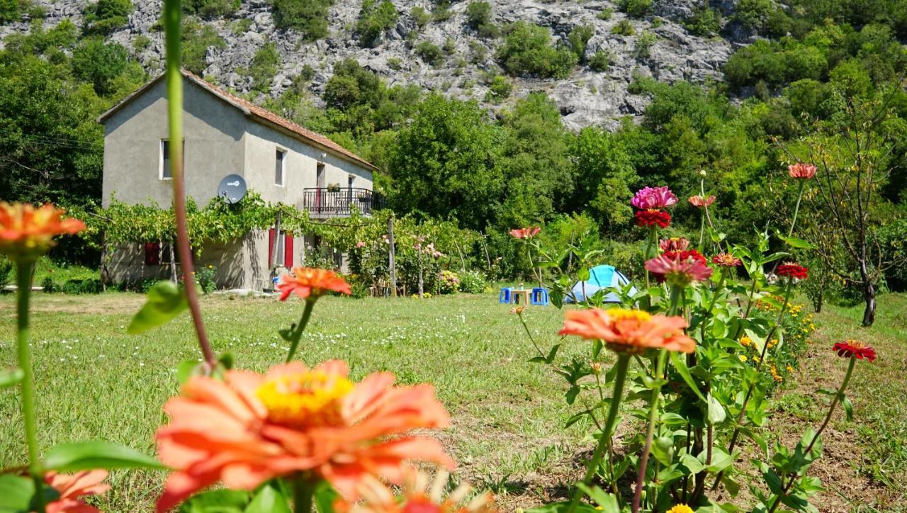 Camp Podkraj Ξενοδοχείο Virpazar Εξωτερικό φωτογραφία