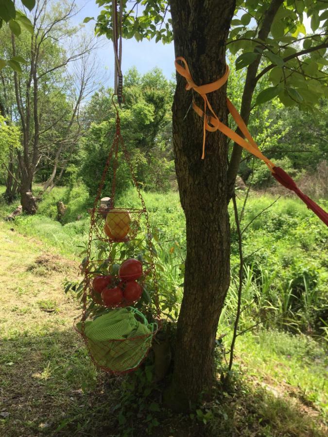 Camp Podkraj Ξενοδοχείο Virpazar Εξωτερικό φωτογραφία